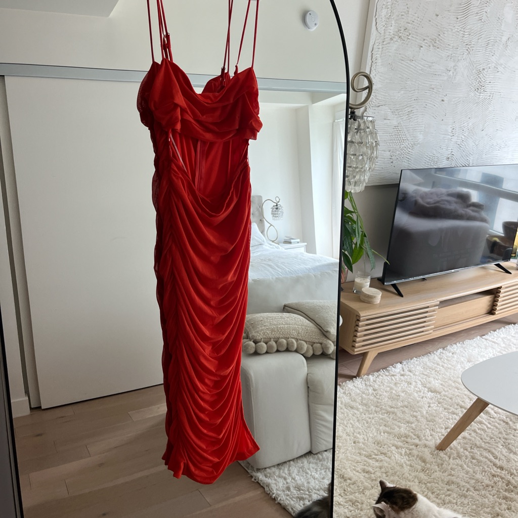 Brand New Red Dress
